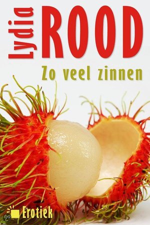 Zoveel zinnen van Lydia Rood (ebook) -  - Lydia Rood